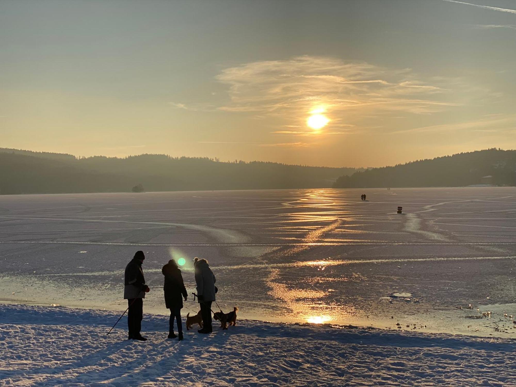 Apartman Verca Riviera Lipno 510 Lipno nad Vltavou Buitenkant foto