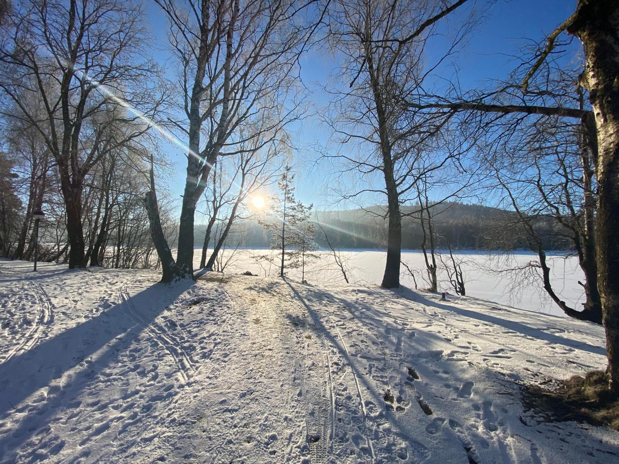 Apartman Verca Riviera Lipno 510 Lipno nad Vltavou Buitenkant foto