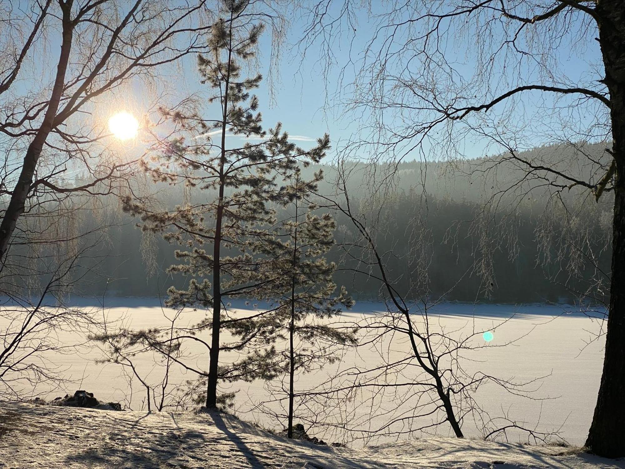 Apartman Verca Riviera Lipno 510 Lipno nad Vltavou Buitenkant foto